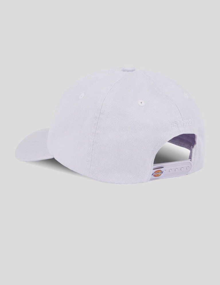DICKIES hardwick cap cosmic sky cap